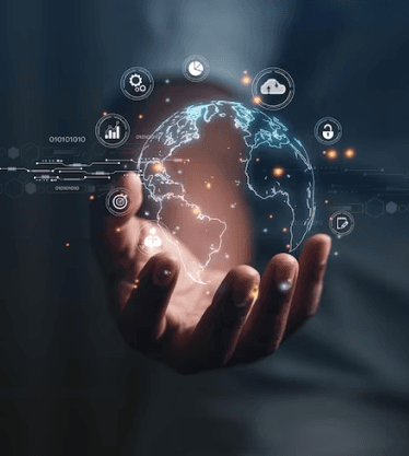 Data Search